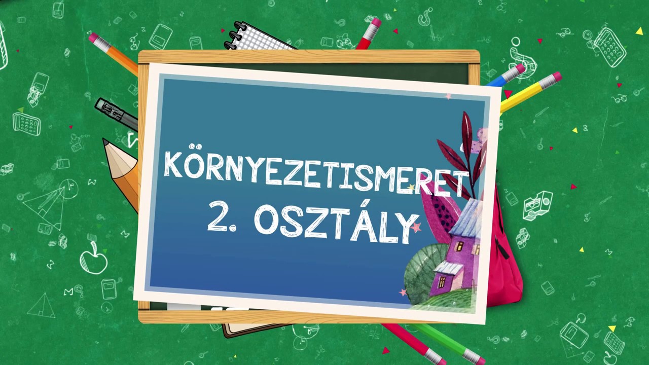 Az állatok csoportosítása táplálkozásuk szerint
