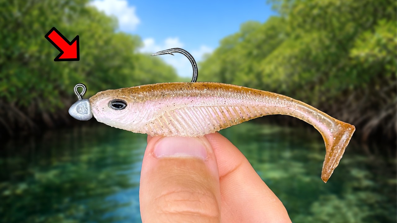 I Fished This 