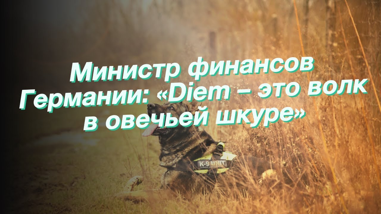 Министр финансов Германии: &laquo;Diem &ndash; это волк в овечьей шкуре&raquo;