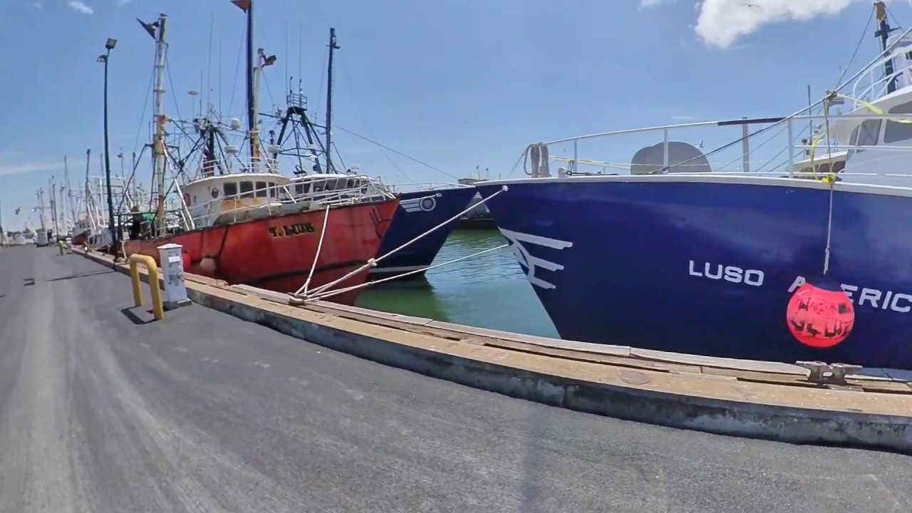 DOCKSIDE RIDE TO HOMER'S WHARF - View Multi-Million Dollar Fleet!  New Bedford, MA
