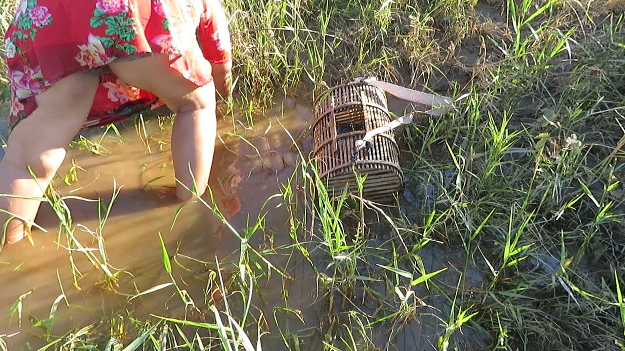 Find to catch Crab in the river