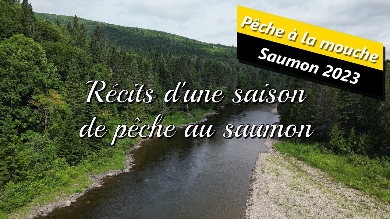 Récits d'une saison de pêche au saumon