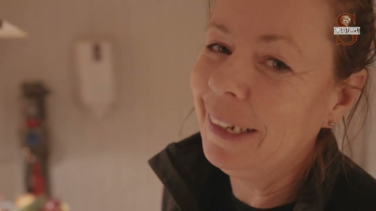 6 Så gör du eget hundgodis