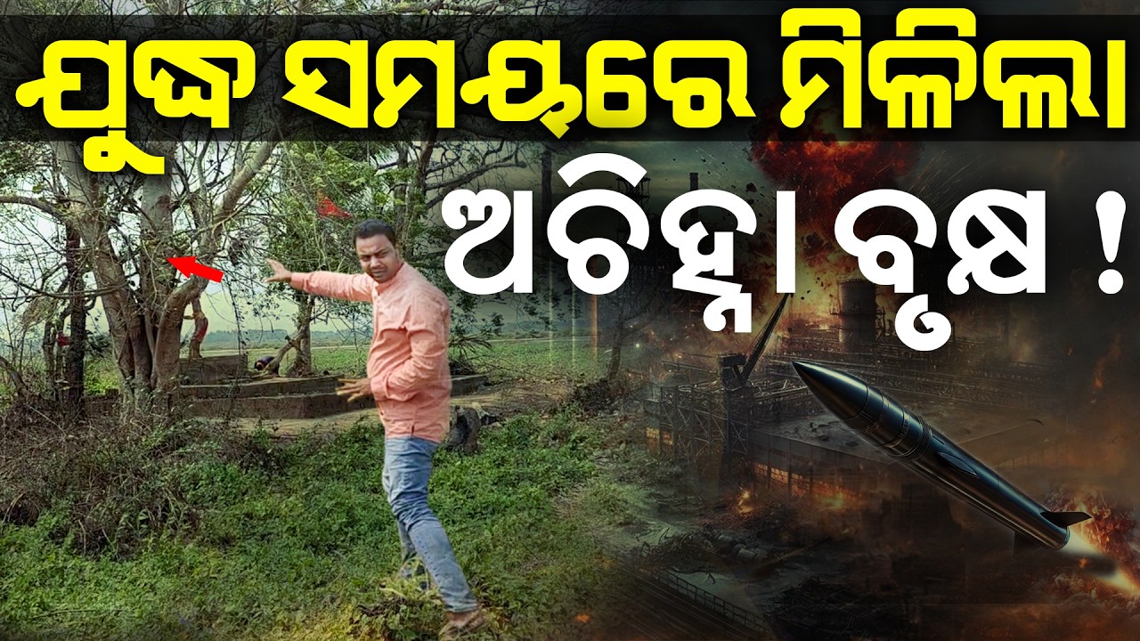 ଯୁଦ୍ଧ ସମୟରେ ମିଳିଲା ଅଚିହ୍ନା ବୃକ୍ଷ | Malika Bachana | Exclusive Episode 