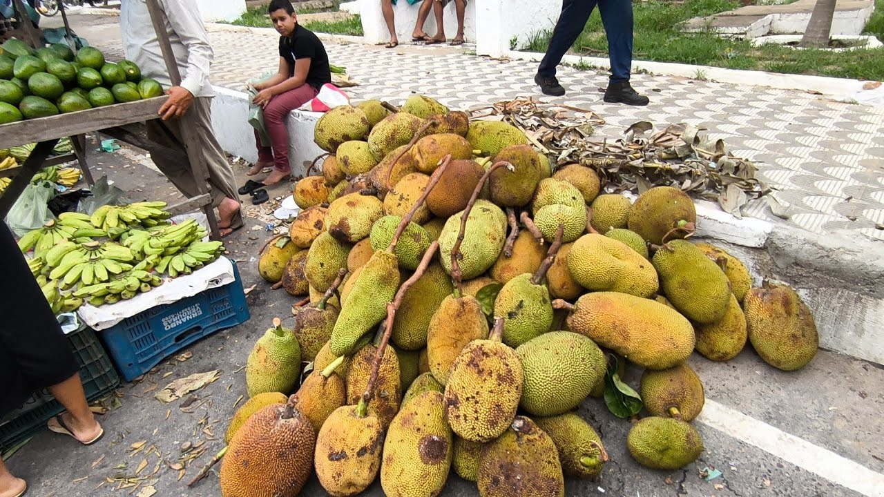 FEIRA LIVRE EM UMBUZEIRO PARAÍBA JACA COM FORÇA 