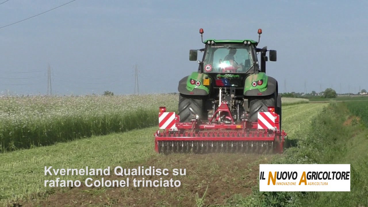 Erpice Qualidisc su cover crops Viterra e nella preparazione del terreno per il mais