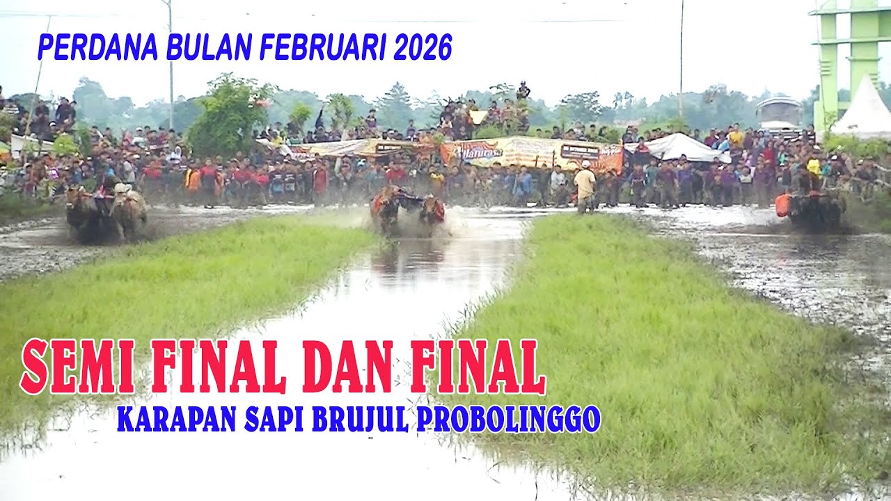 BRUJUL SEMI FINAL DAN FINAL PROBOLINGGO 8  FEBRUARI 2026