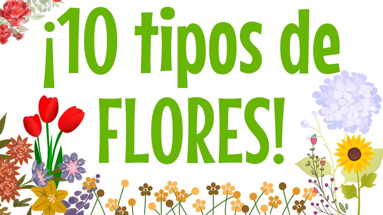 APRENDE 10 tipos de FLORES 🌹🌼🌷 - for kids