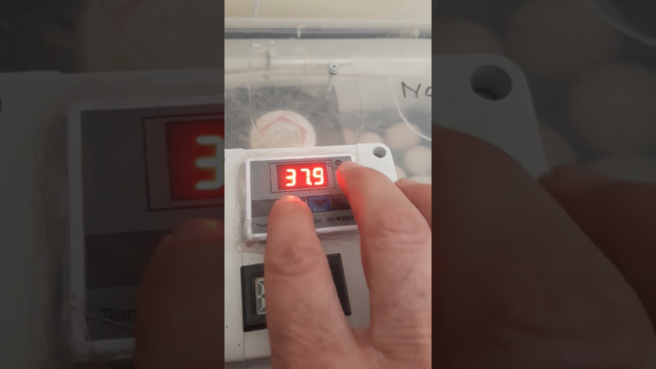 XH  W3001 Termostat kalibrasyon ayarı...