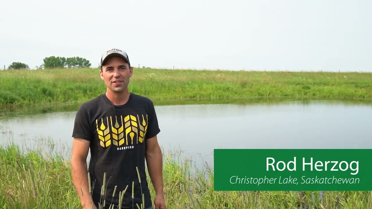Bison in Saskatchewan | Water Sources