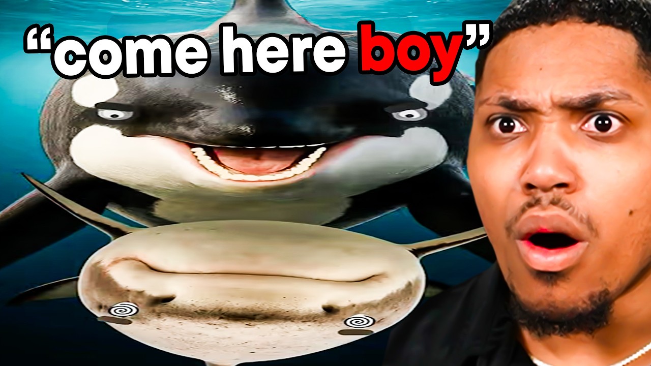 Hoodie Guy Exposes TRUTH About Animals 2..😳