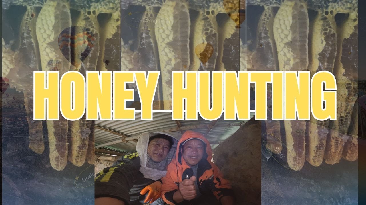Traditional way of Honey HUNTING