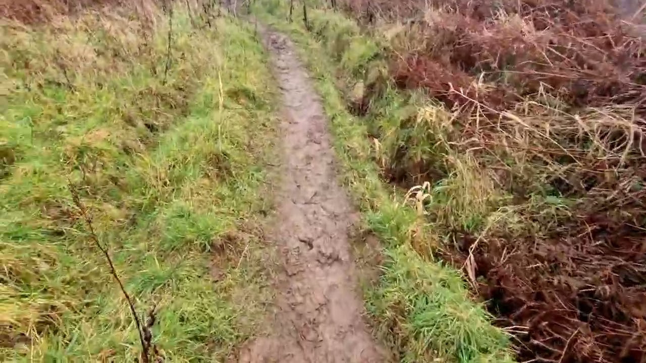 #boggy #muddy #walkwithme #llangefni ##cefnireservoir #rainyday 