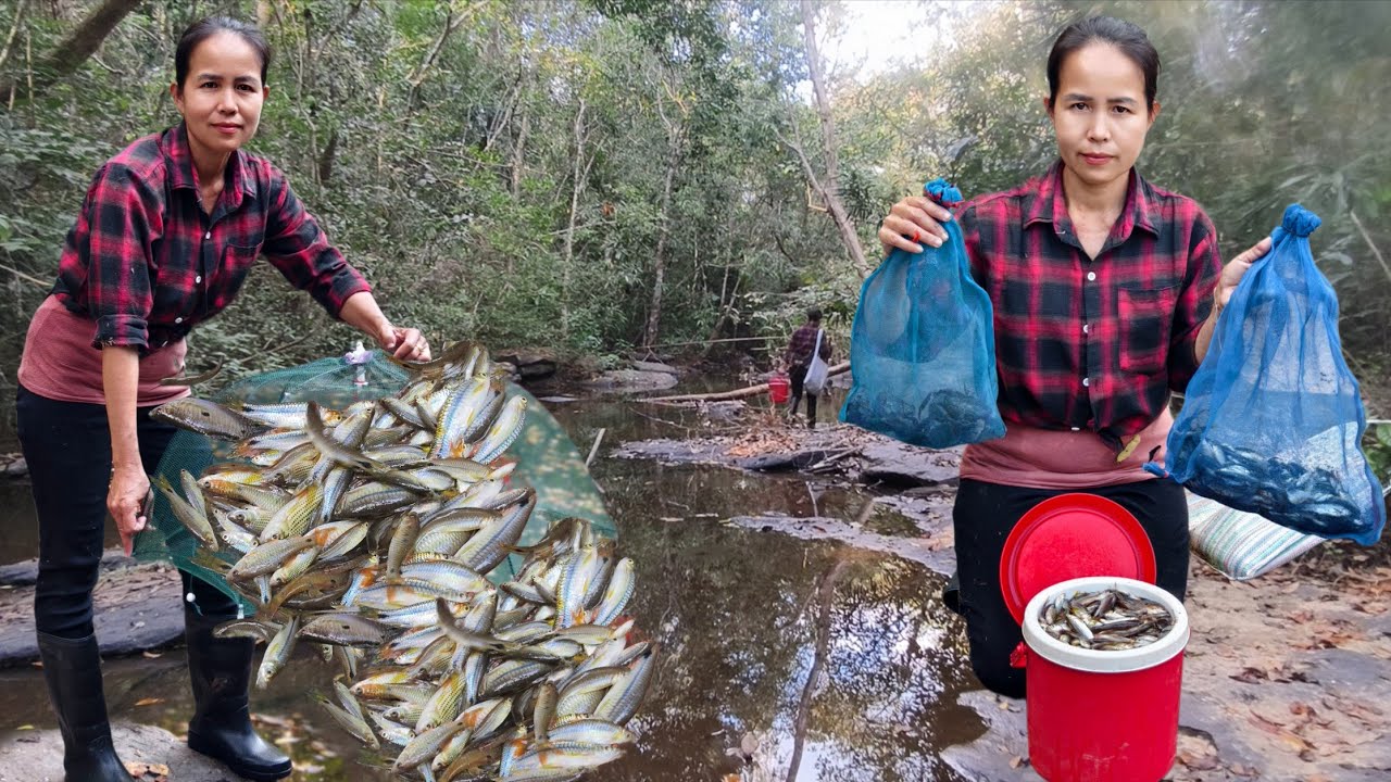 ป๊าดๆเจอวังปลาซิวข้าวเดือดทุกหลัง!!หมานล้นกระติกได้ใส่ถุงอีกจ้า🐠🐟🦀20/1/69