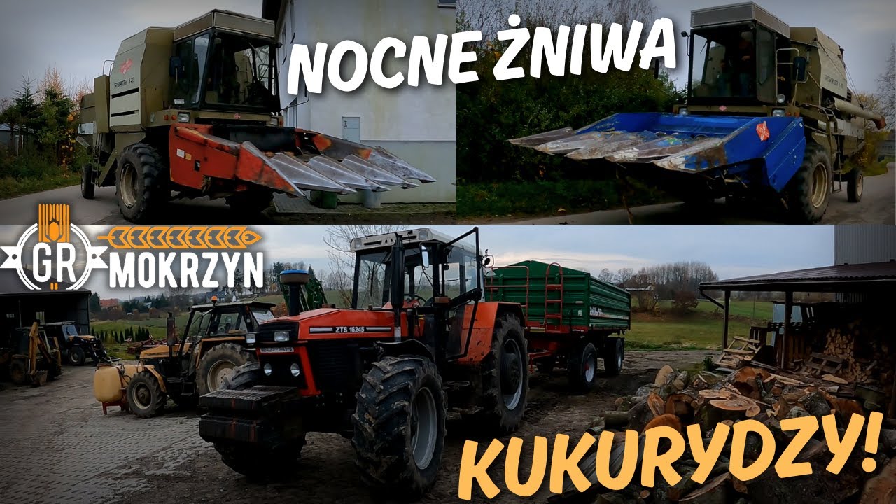 NOCNE ŻNIWA 🌽 KOSIMY MOJĄ KUKURYDZĘ 🔥 2x Fortschritt, Case, ZTS - KOSZENIE I ODWÓZ na SKUP
