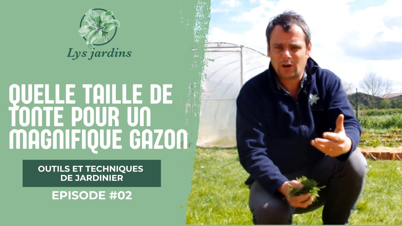 Quelle taille de tonte pour votre gazon ?