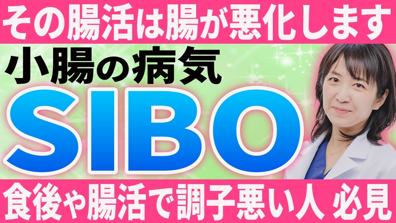 【医師が解説】SIBO（小腸内細菌異常増殖症）の症状と治し方