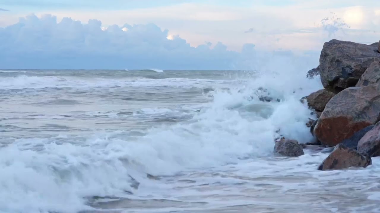 The Ocean - Timothy Howells