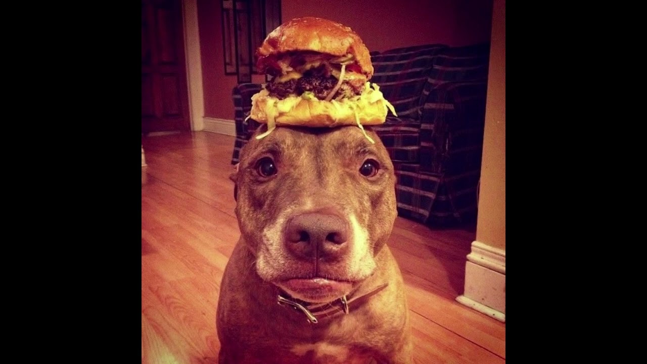 free che type beat 2025