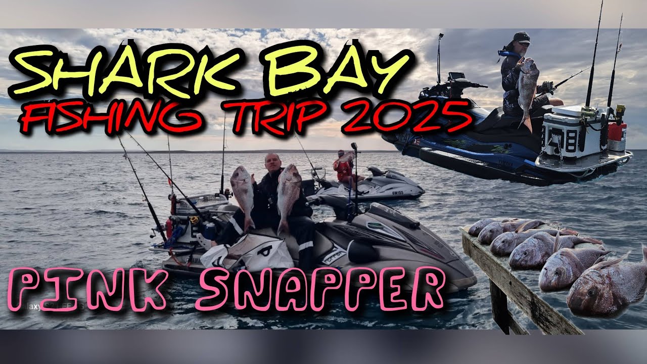 SHARK BAY | JETSKI FISHING TRIP 2025 | PINK SNAPPER