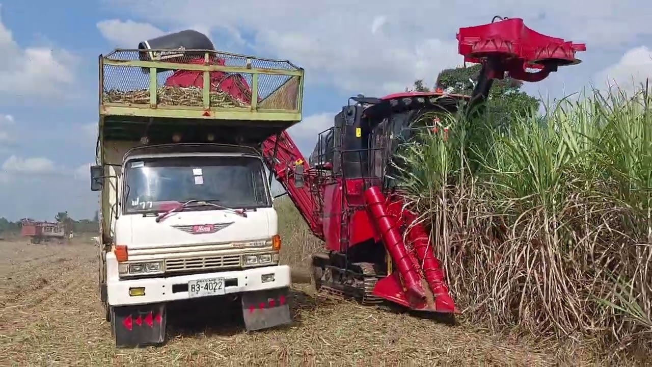 รถตัดอ้อยล้อแทร็ค 14 ล้าน 420 พลังม้า CASE IH 9900 เจอ F18 ตั้งรับ sugar cane harvaster and truck