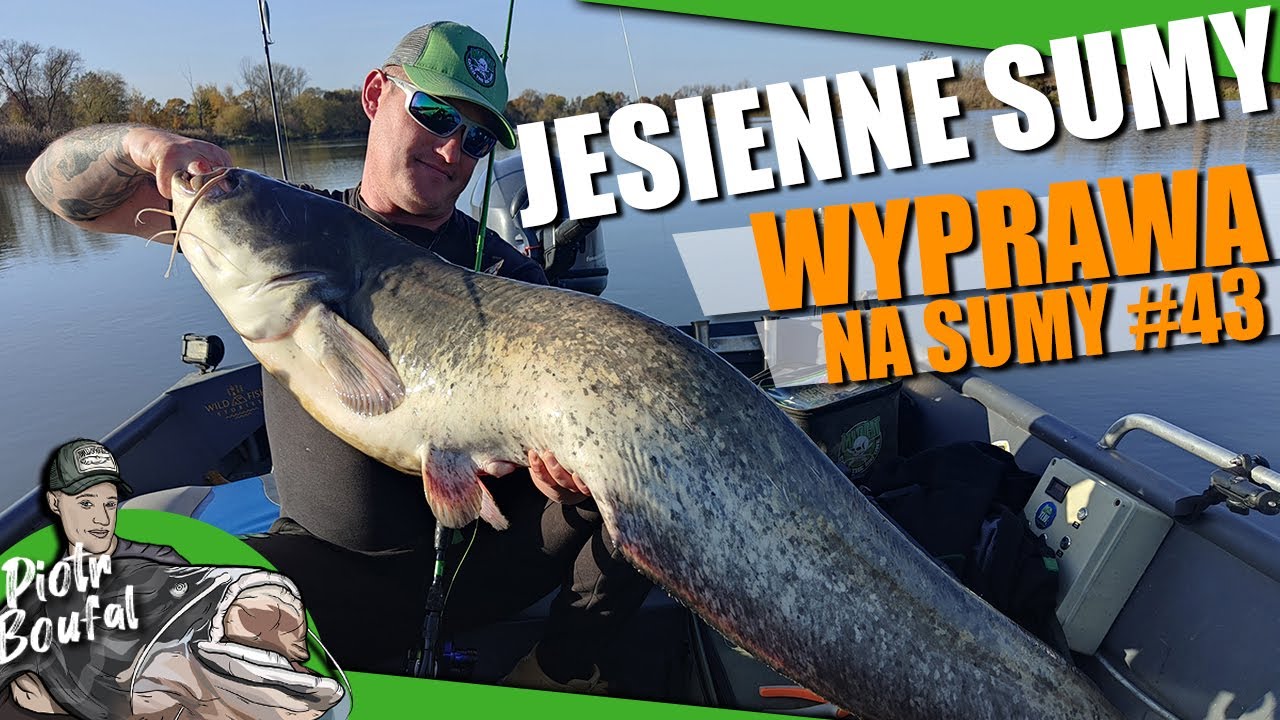 RYBA ZŁAMAŁA WĘDKĘ! JESIENNE SUMY na Odrze - WYPRAWA NA SUMY #43