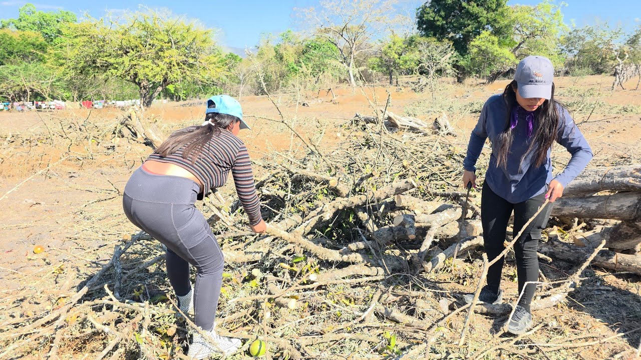 🔴Así trabajamos picando leña en El Salvador 🥵
