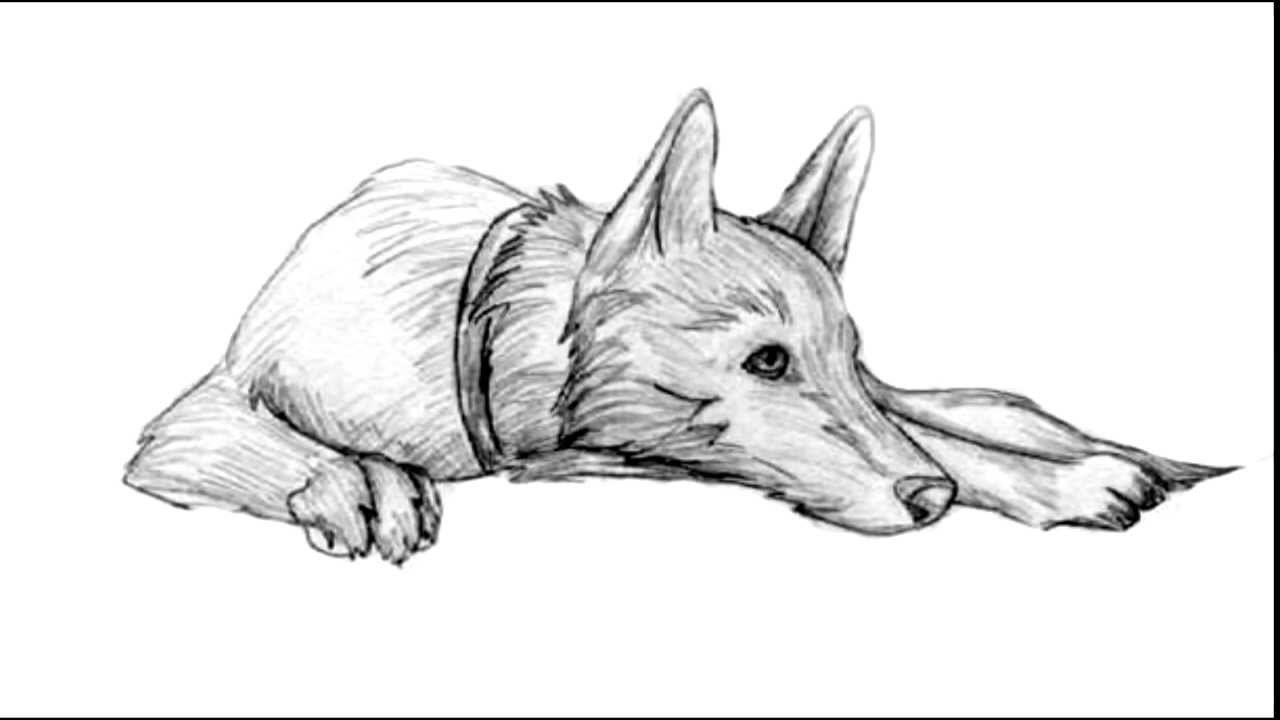 Pet Memorial - Owner, Dearest Friend