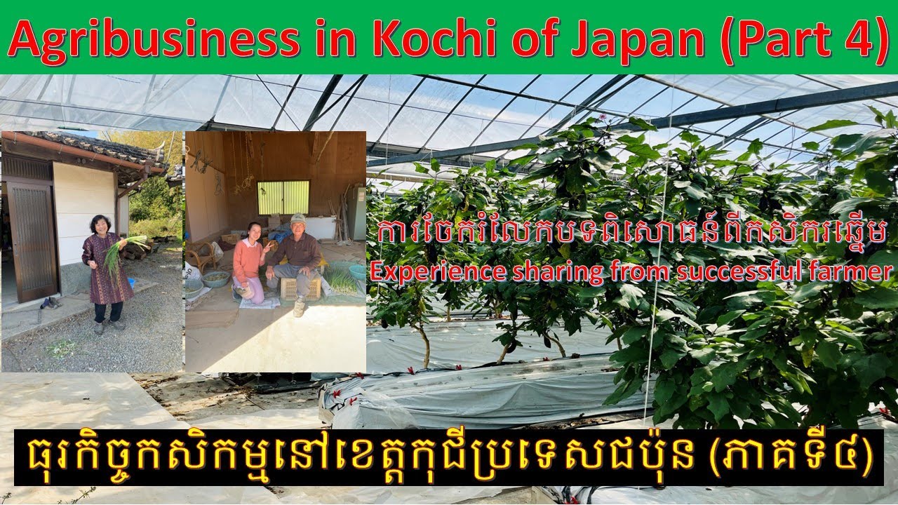 Agri-business in Kochi, Japan (Part 4: Successful farmer in marketing and agri-business)