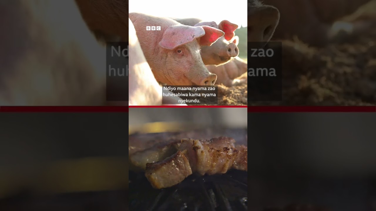 Je  nyama ya nguruwe ni nyekundu ama nyeupe?