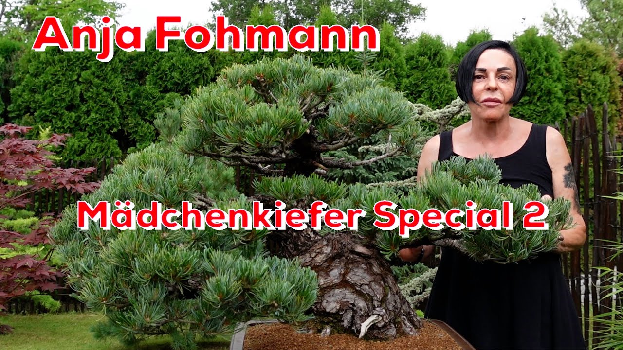 Аня Фоманн @ BonsaiKunstHamburg 2.0