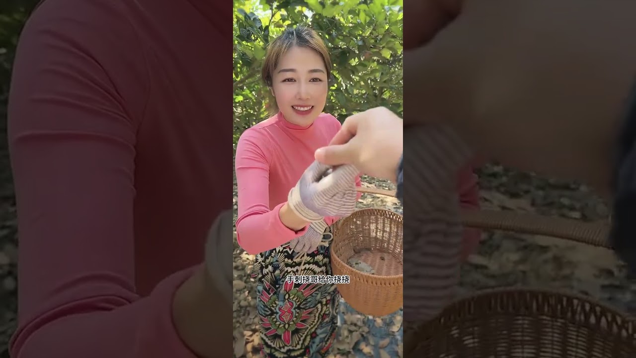 旅游在 西双版纳的 一处 小树林里  遇到了一位 美丽又漂亮的 大龄剩女 #记录真实生活#真实生活2026 #西助农行 #农村生活#剧情 #随拍