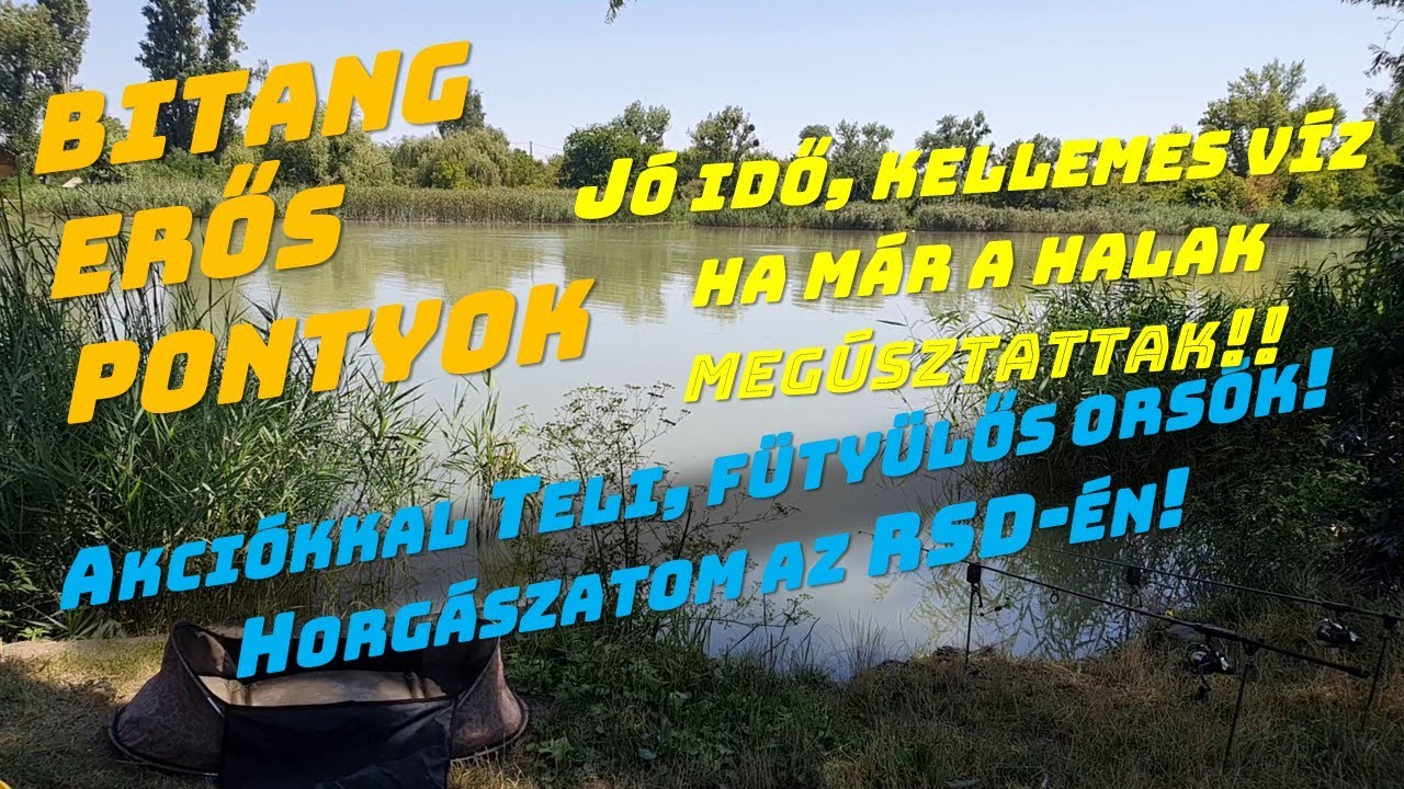 Horgászni indultam az Rsd-re.De Ilyen izgalmas pecára Nem Is számítottam.Erős Halak Vizbe Rántottak!