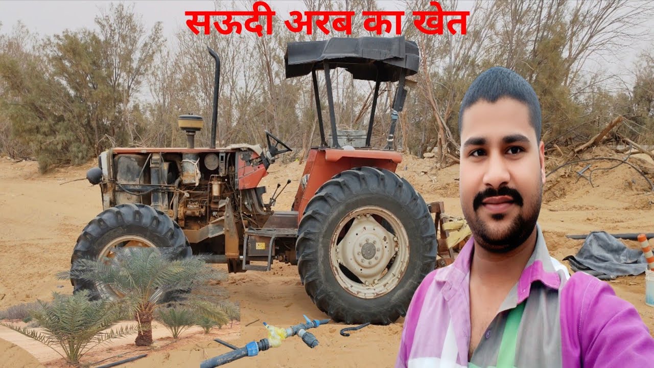 Saudi Arab Khet Mein Pani Kaise Chalate Hain Jaitun Ki Kheti Kaise Hota Arvind House Driver Saudi 