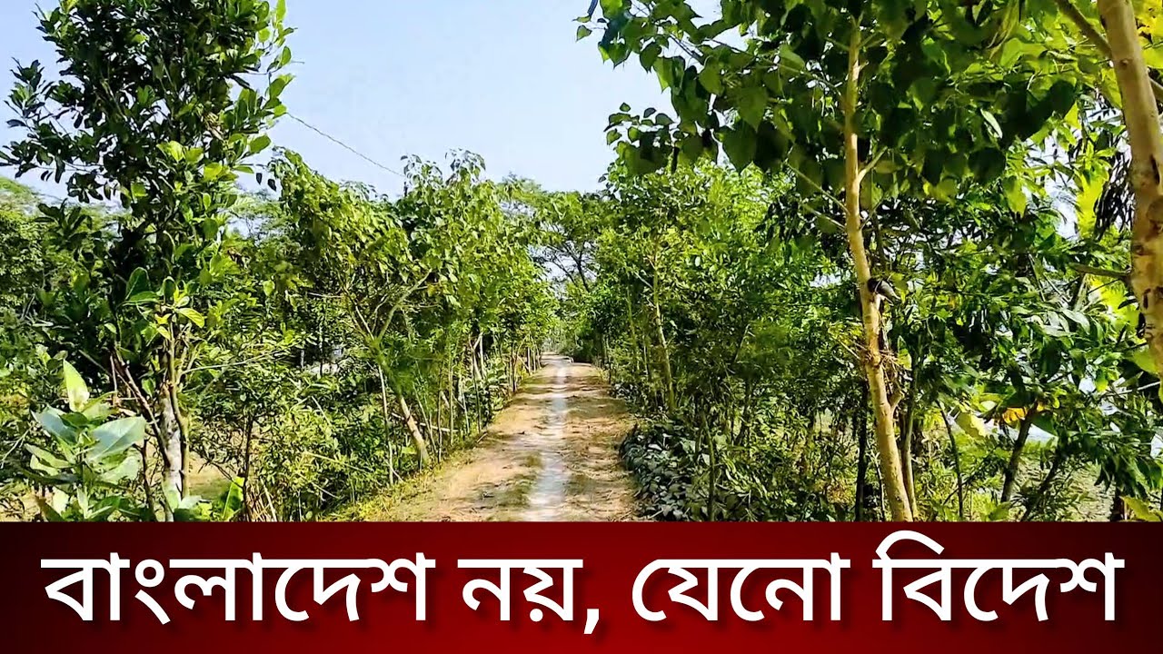 এটা বাংলাদেশ নয়, যেন Foreign Landscape | Cinematic River Bank Village View | DJI Action 4