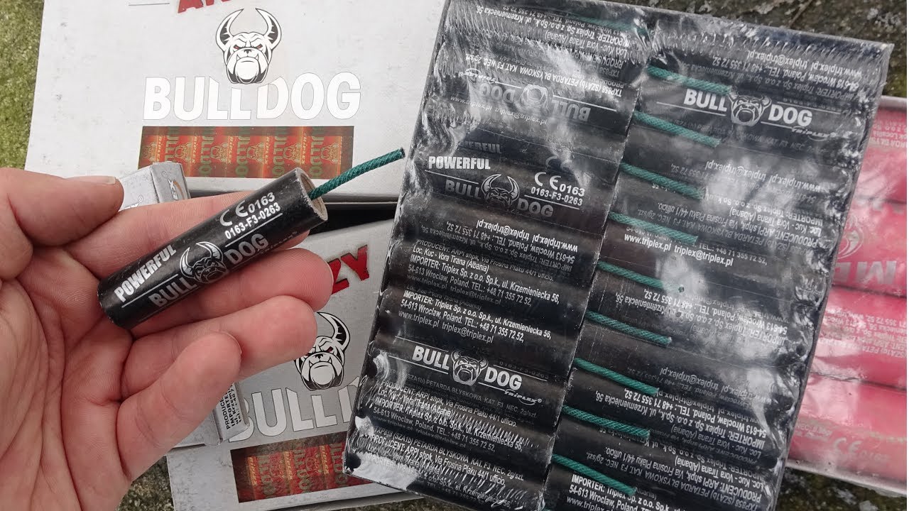 🧨 KTÓRE BULLDOGI SĄ NAJLEPSZE? Test Petard z Serii Bulldog od Triplexa | Angry Powerful Crazy Mega