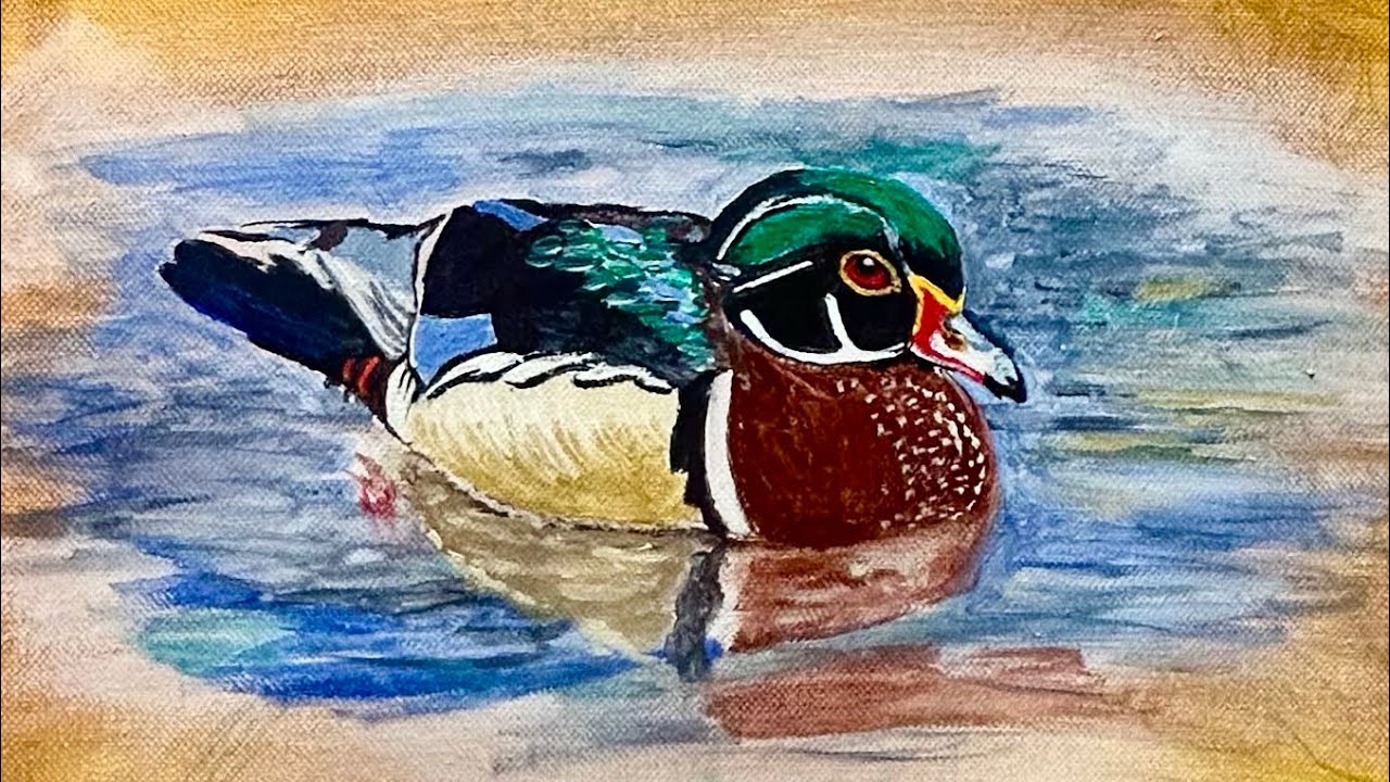 Painting a Wood Duck 🦆 in Acrylic!