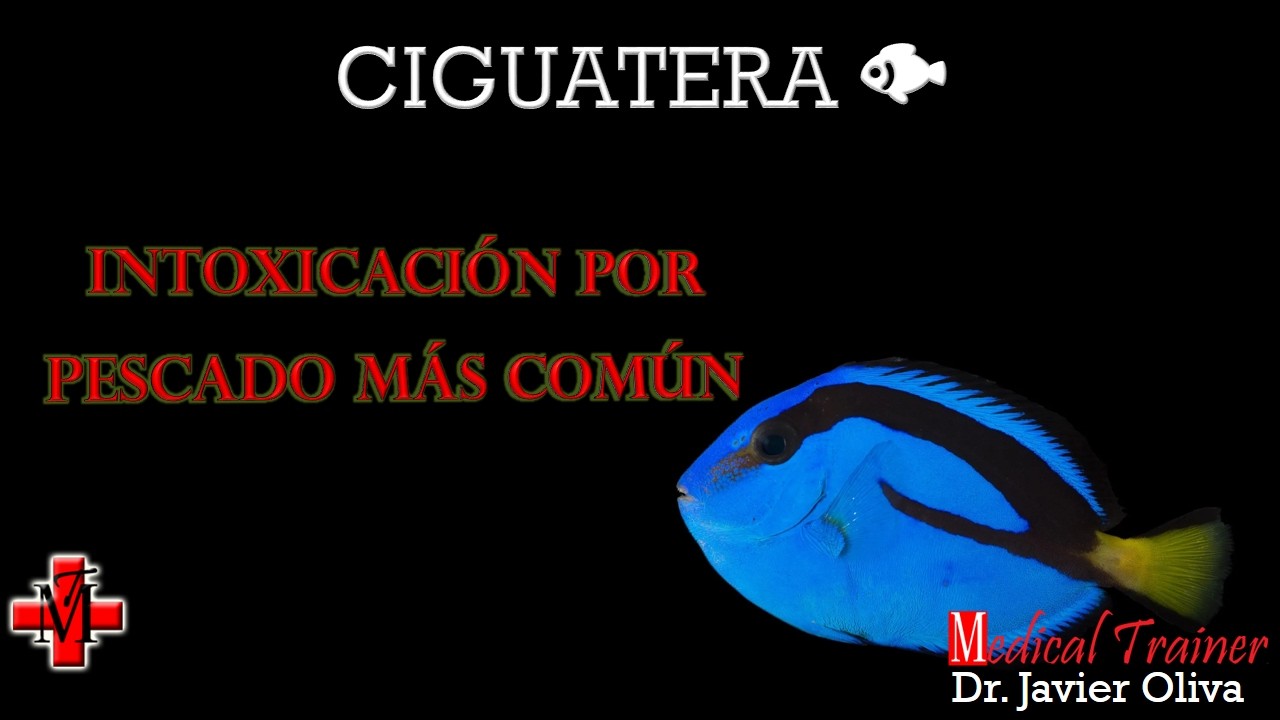 🎥 CIGUATERA: La INTOXICACIÓN por PESCADO Más COMÚN del Mundo 🚨