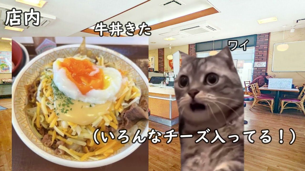 初めてチーズ牛丼を食べた時の話　#猫ミーム #猫マニ