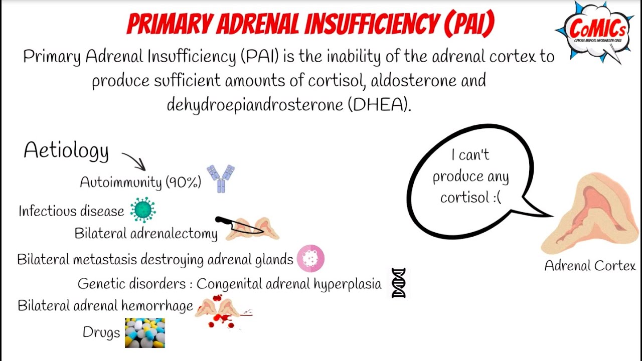 CoMICs Episode 9: Primary Adrenal Insufficiency