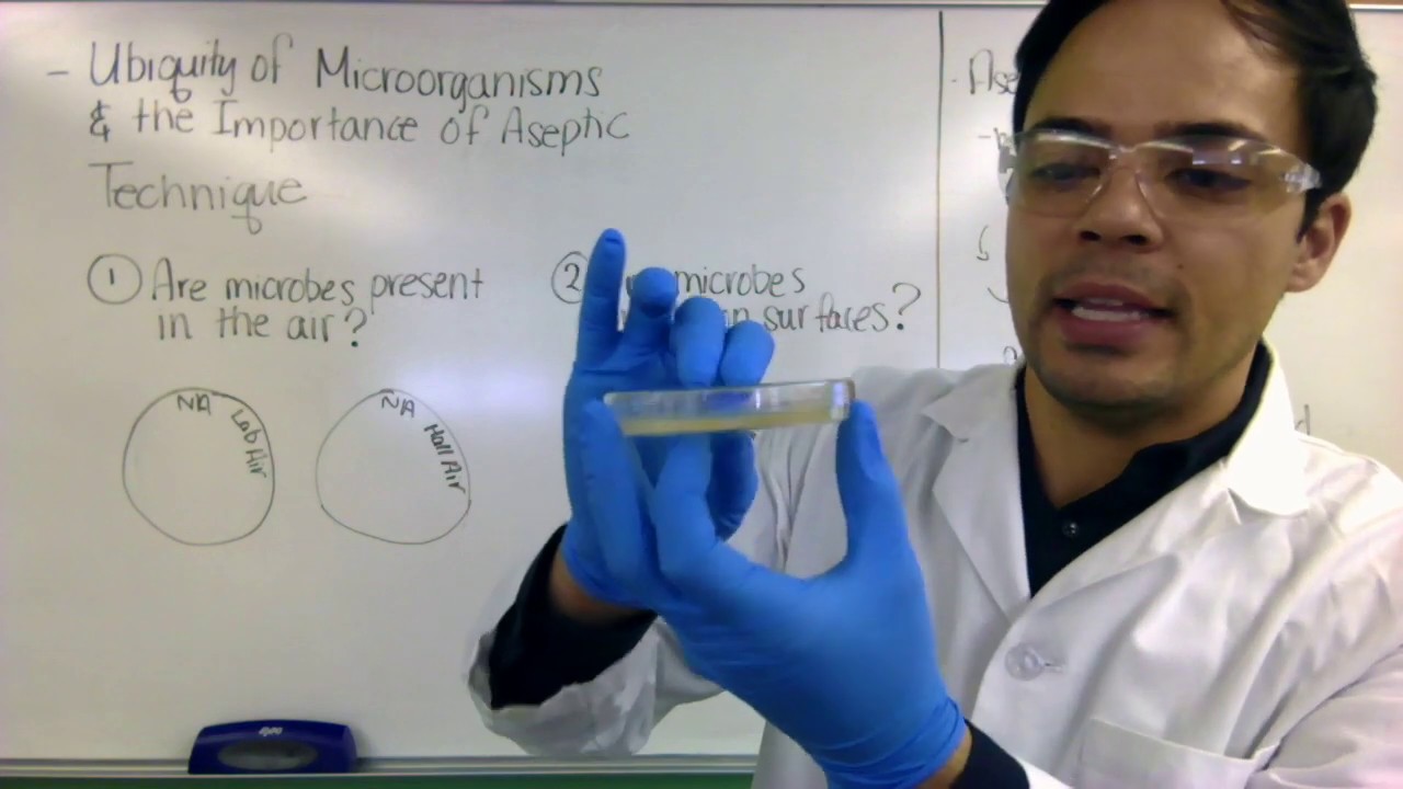 Ubiquity of Microorganisms & Aseptic Technique