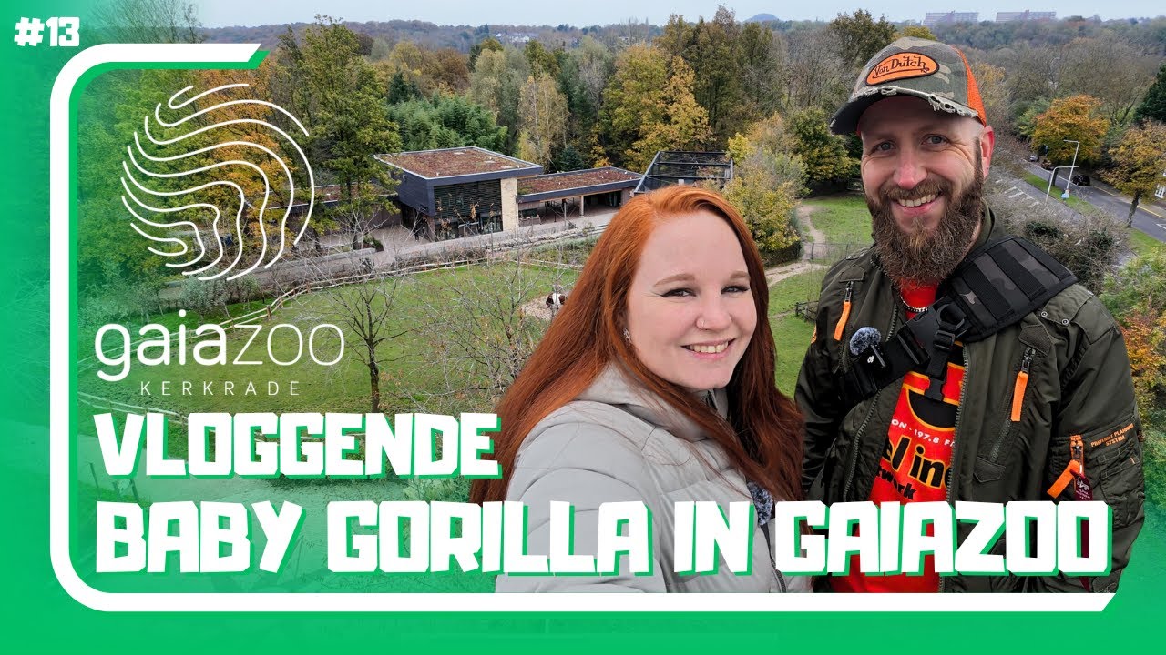Vloggende Baby Gorilla in GaiaZOO - VLOG 13