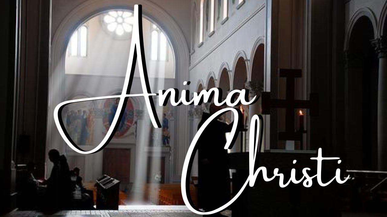 Anima Christi - SJASC Schola Cantorum (Marco Frisina)