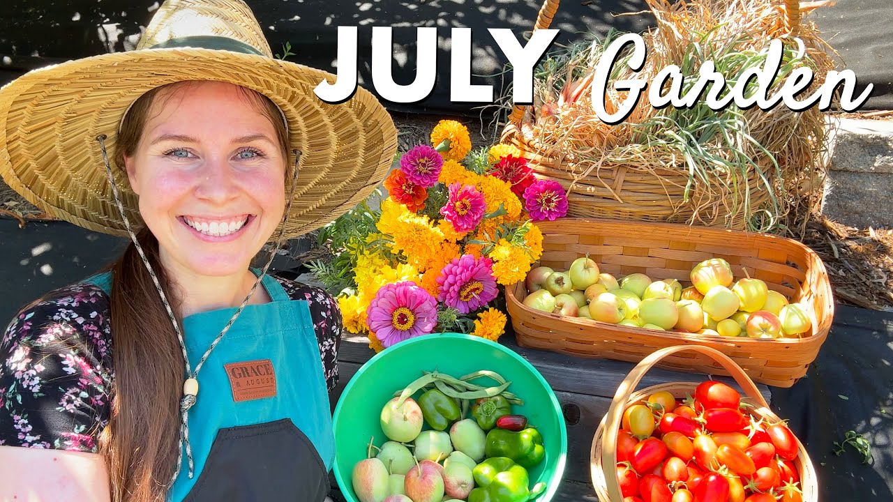 My July Backyard Garden: Tomatoes, Shallots & More!