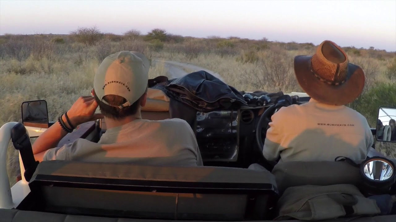 Bush Ways Safaris   The Video Contest   by Hannes Finkensiep