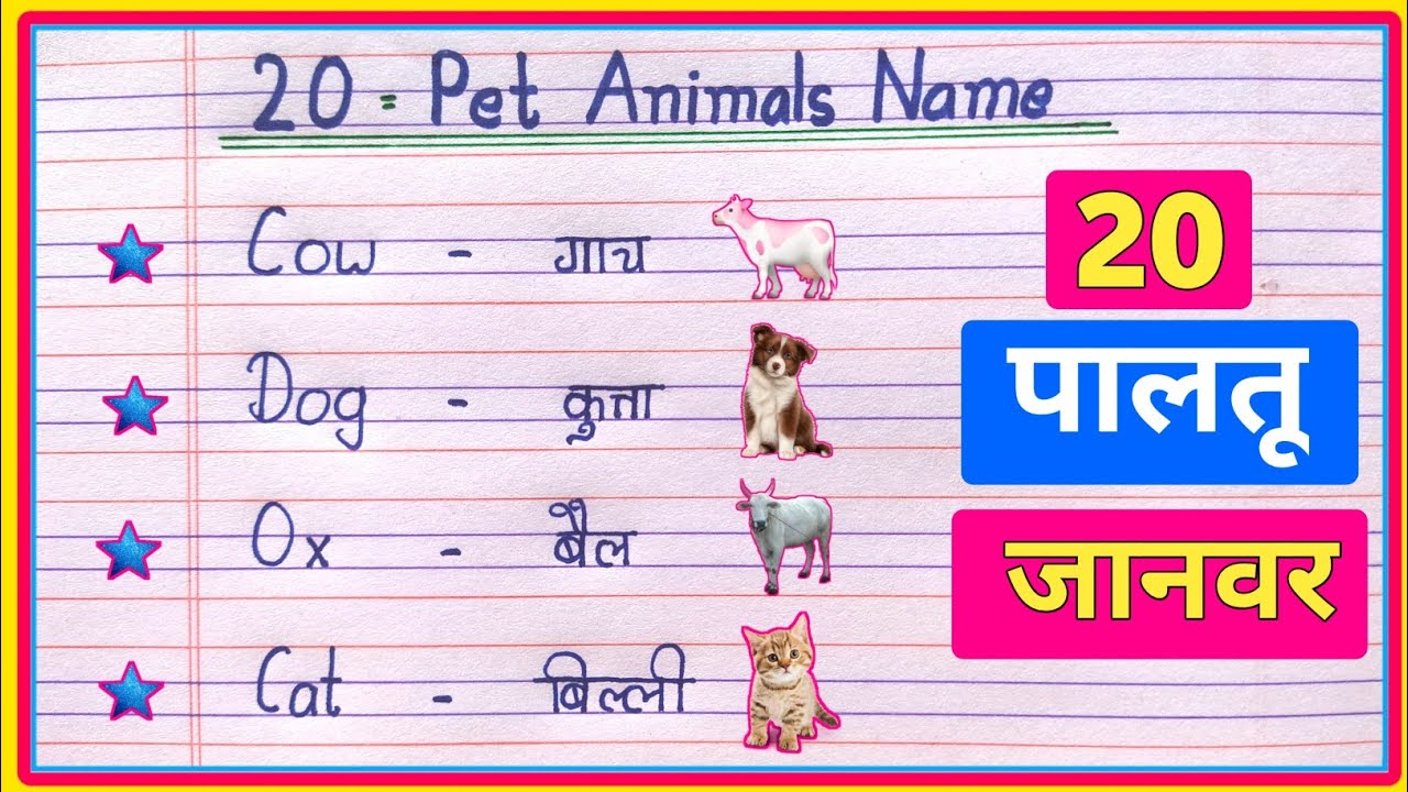 20 Pet Animals Name Hindi and English | पालतू जानवरों का नाम | Pet Animals Name in Hindi and English