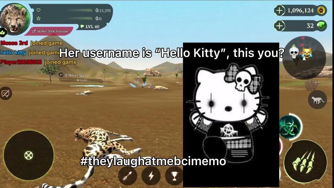 How to roast a hacker ;) // The Cheetah Online Simulator