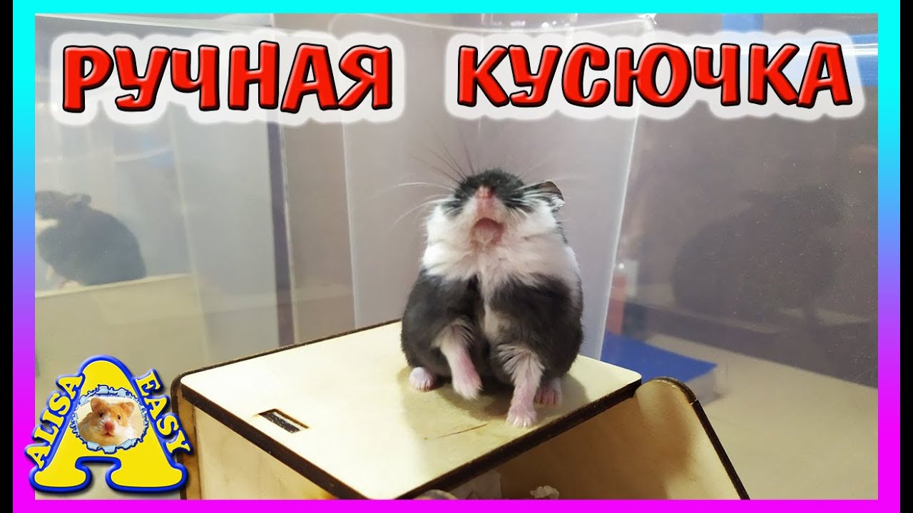 МЕШАНИНА ДЛЯ  ДЖУНГАРИКА   / УБОРКА КЛЕТКИ ХОМКИ ПЕПСИ / ХОМЯК КЕМПБЕЛЛА / Alisa Easy Pets