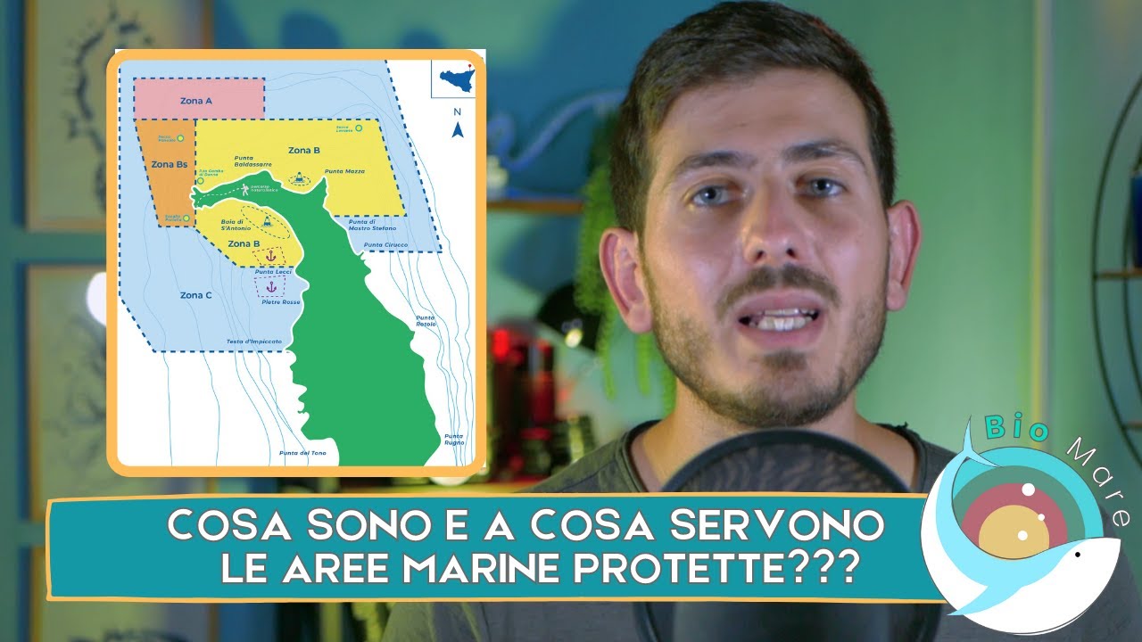 COSA SONO E A COSA SERVONO LE AREE MARINE PROTETTE? - BIOMARE #23 - SUB H2O