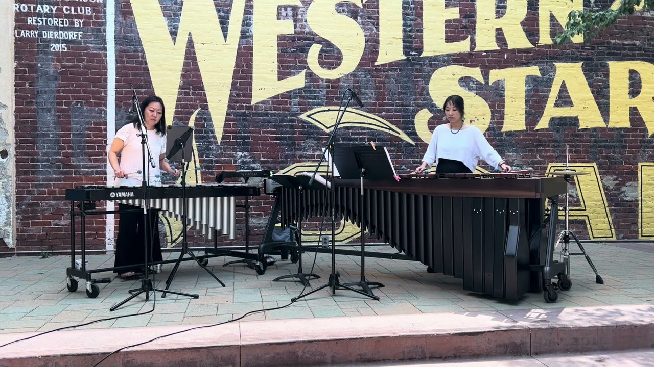 Merry-Go-Round of Life / Joe Hisaishi - marimba & vibraphone arrangement [人生のメリーゴーランド・久石譲]